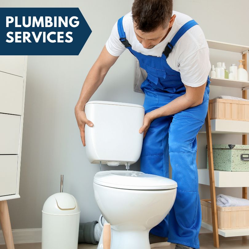 Plumbing Company in Taopi, MN